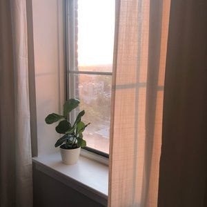 Meet your Posher, Emmy